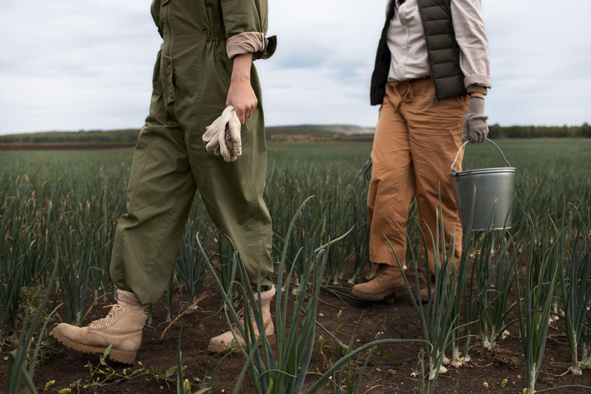 Trabajadores del campo. Foto Freepik