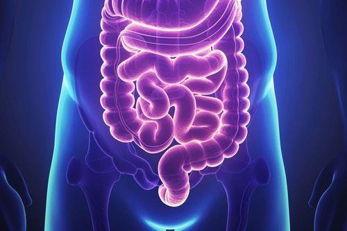 Recuperar la flora intestinal dañada es posible con estos sencillos remedios naturales y pautas de nutrición